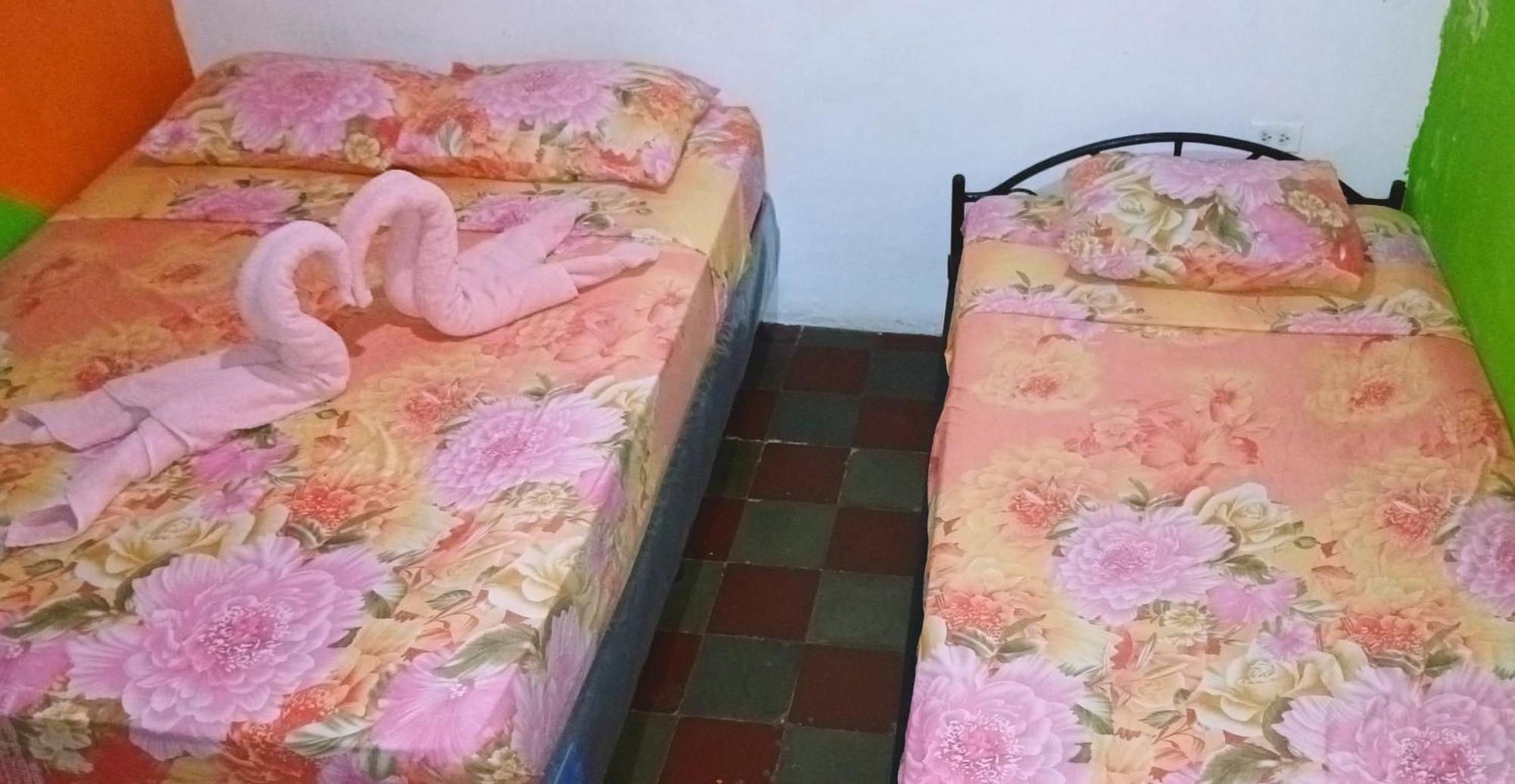 Deakachimba Hostel Granada Exteriér fotografie
